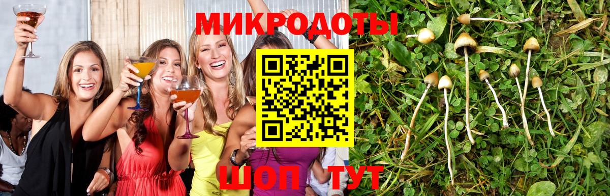 Псилоцибиновые грибы мухоморы Лабытнанги